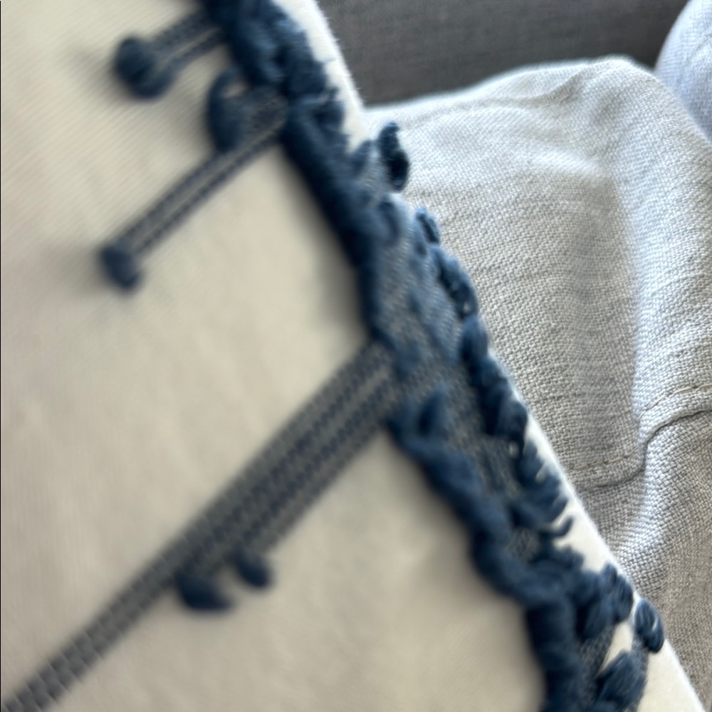 Blue and White Decorative Pillow